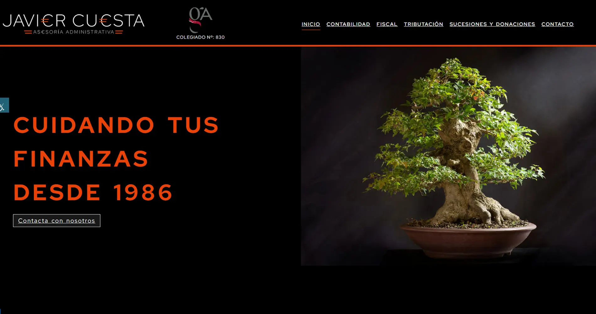 diseño profesional de paginas web creativas para profesionales en Galicia
